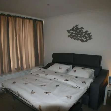 Studio Westland Nabij Zee En Esplanade Apartment *